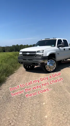 A post by @ on TikTok caption: buddy better calm it down @Joshblackwell41 