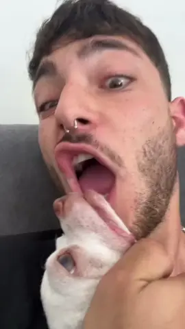 A post by @animal.reunion on TikTok caption: Niki is best