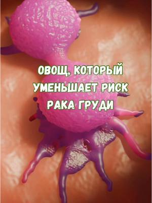 A post by @jurnal_sdorovja on TikTok caption: Овощ, который уменьшает риск рака груди #онкология #ракгрудей #зож #здоровоетело #здоровоепитание #здоровье #здоровьебезлекарств 