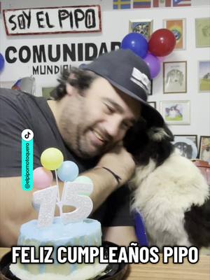 A post by @tiktoklatam on TikTok caption: Estas son las mañanitas🎶 Cumpleaños feliz para todos sus peluditos. Los queremos por su amor incondicional. 🐶 @elpipomotoquero #mascotastiktok #perritos #fyp #celebracion