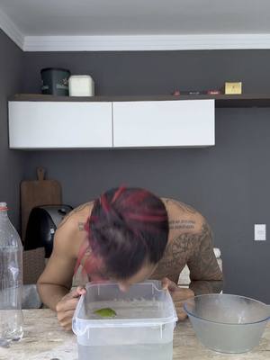 A post by @ocremosinho on TikTok caption: Rotina😂