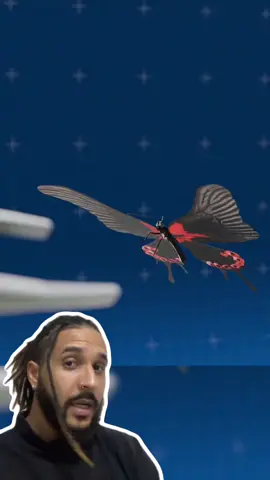 A post by @mesquitareacts on TikTok caption: As línguas dos animais podem ser muito DIFERENTES! 👅😨 🎥: @Zack D. Films  . . . #animaisnotiktok #bichos #curiosidades #curiosidadeanimais #agoravocesabe #aprendanotiktok