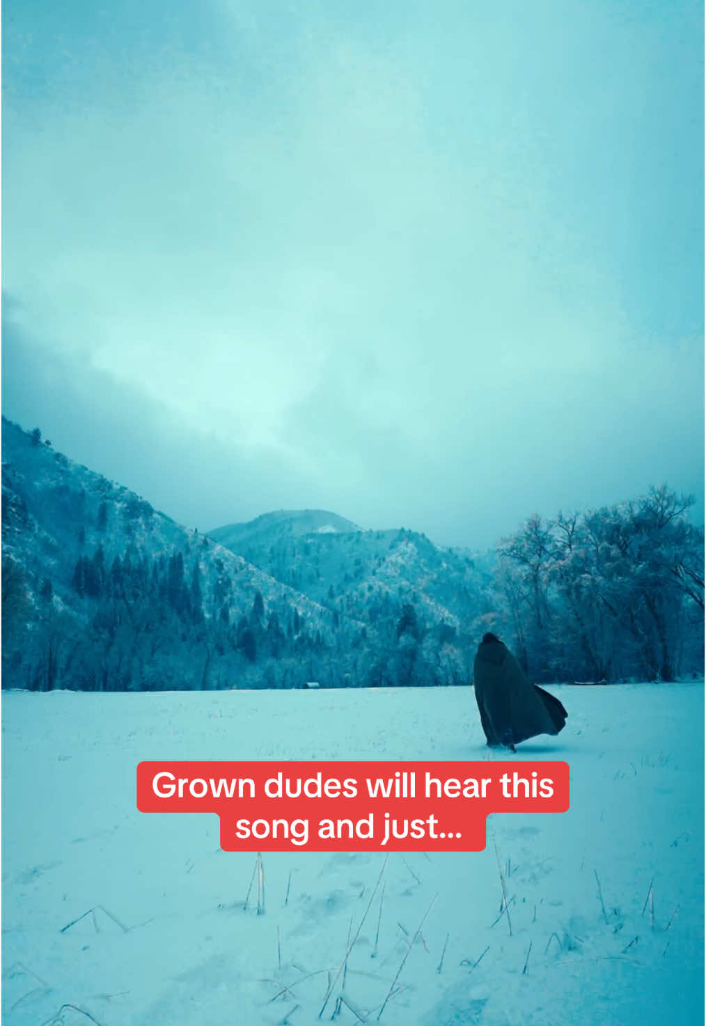 A post by @christopherclaflin on TikTok caption: Even in the summer I’ll find the most fridged landscape known to man when this song comes on. #gameofthronesedit #gameofthrones #winterfell #cloaks #dndtiktok 