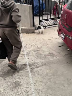 A post by @givina18 on TikTok caption: mero buhari baba ani vada hami  Sabaiko thorai vayepani khusi farkiyo 😍😍🤗finally hami ghara pugeu 😊@Sooraz Singh @तथास्तु🍀 @kalpanathapa633 @Purnima #doglove #fypシ゚ 