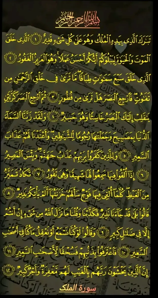 A post by @jakirhussainmiah155gmai3 on TikTok caption: #islamic_video #allahuakbar 