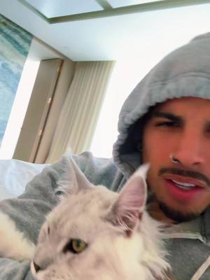 A post by @rauwalejandro on TikTok caption: que hacen? 😹 😴