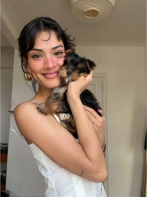 A post by @yeslydimate on TikTok