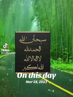A post by @mhersi0561 on TikTok caption: #onthisday 