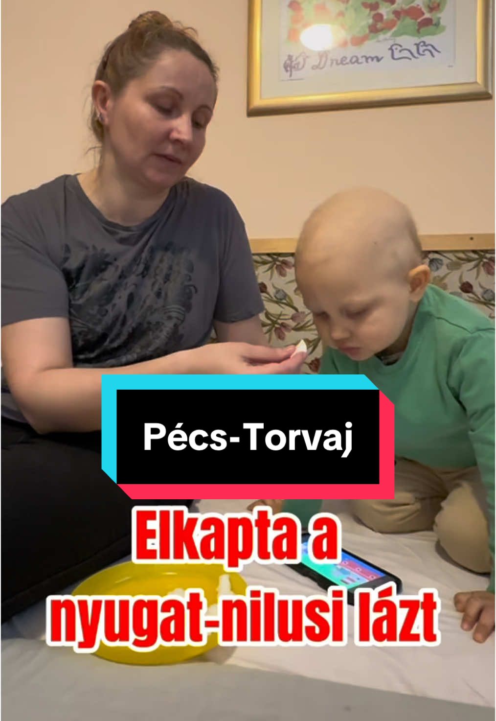 A post by @jakobalapitvany on TikTok caption: Nem elég a leukémia egy virus miatt még agyvelőgyulladást is kapott a kicsi fiu… de talán már túl van a nehezén.#pécs#szeretet #segítség #jakobalapítvány 