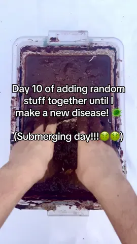 A post by @disease.box on TikTok caption: Watch until the end…🤮🙌📥 | ⚠️ do not try at home ⚠️ | #experiment #science #box #disease #community #viralvideos #fyp #diseasebox #day10 