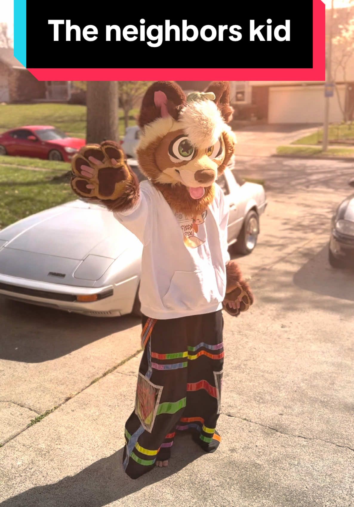 A post by @khajiitkat on TikTok caption: Chat, I think my neighbor is a furry 😣