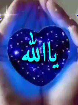 A post by @mhersi0561 on TikTok