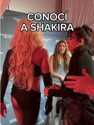 A post by @ladivaza on TikTok caption: quede loquísima, gracias meta ❤️ #shakira