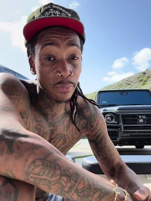 A post by @wizkhalifa on TikTok caption: She wanna be wit Taylor gang. 