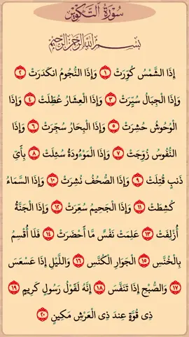 A post by @quran_karim_tilawat_nice on TikTok caption: القرآن-الكريم سورة-التكوير عبدالباسط-عبد الصمد #القرآن_الكريم #راحة_نفسية #اطمئن 