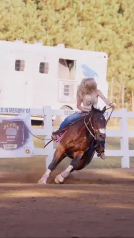 A post by @papitacos on TikTok caption: Horse girls are different