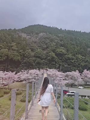 A post by @namiichan31 on TikTok caption: 💫😊🌸#sakura #japan 