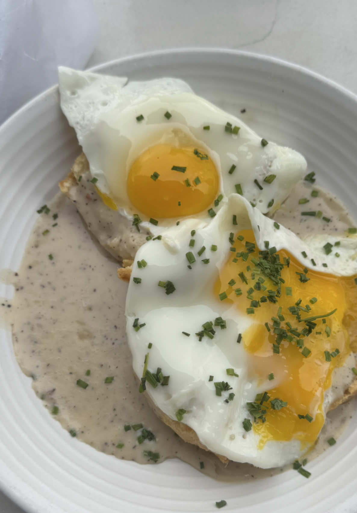 A post by @j.kenji.lopezalt on TikTok caption: I had some biscuits and gravy and some really excellent coffee from Stay Golden in Nashville and enjoyed it all. A real different style of biscuits from Nashville Jam Co., whose biscuits I’ve also enjoyed here. Where else to get good Nashville biscuits?