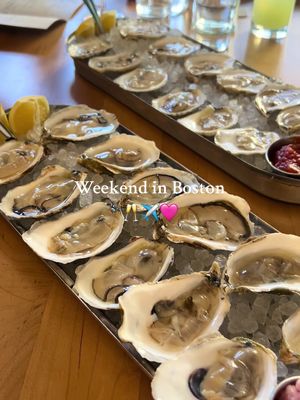 A post by @darbyyyy_ on TikTok caption: Back in Boston🥂 #boston #girlstrip #weekendtrip 