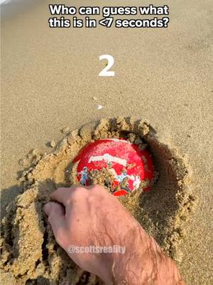 A post by @scottsreality on TikTok caption: I bet my left kidney you can’t guess what this is! 😂