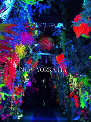 A post by @drinklinknyc on TikTok caption: Inter NYC- Letting your inner child out is needed from time to time t INTER NYC ° 415 Broadway, New York 10013 @inter.nyc is an intergalactic adventure with 10+ immersive exhibitions and zones. It's a fun activity for adults and children. The themes are changed periodically with the current one being a galaxy wonderland. Use the Code Zaire10 for a discount on your ticket purchase #nyc #nycactivities #nycthingstodo 