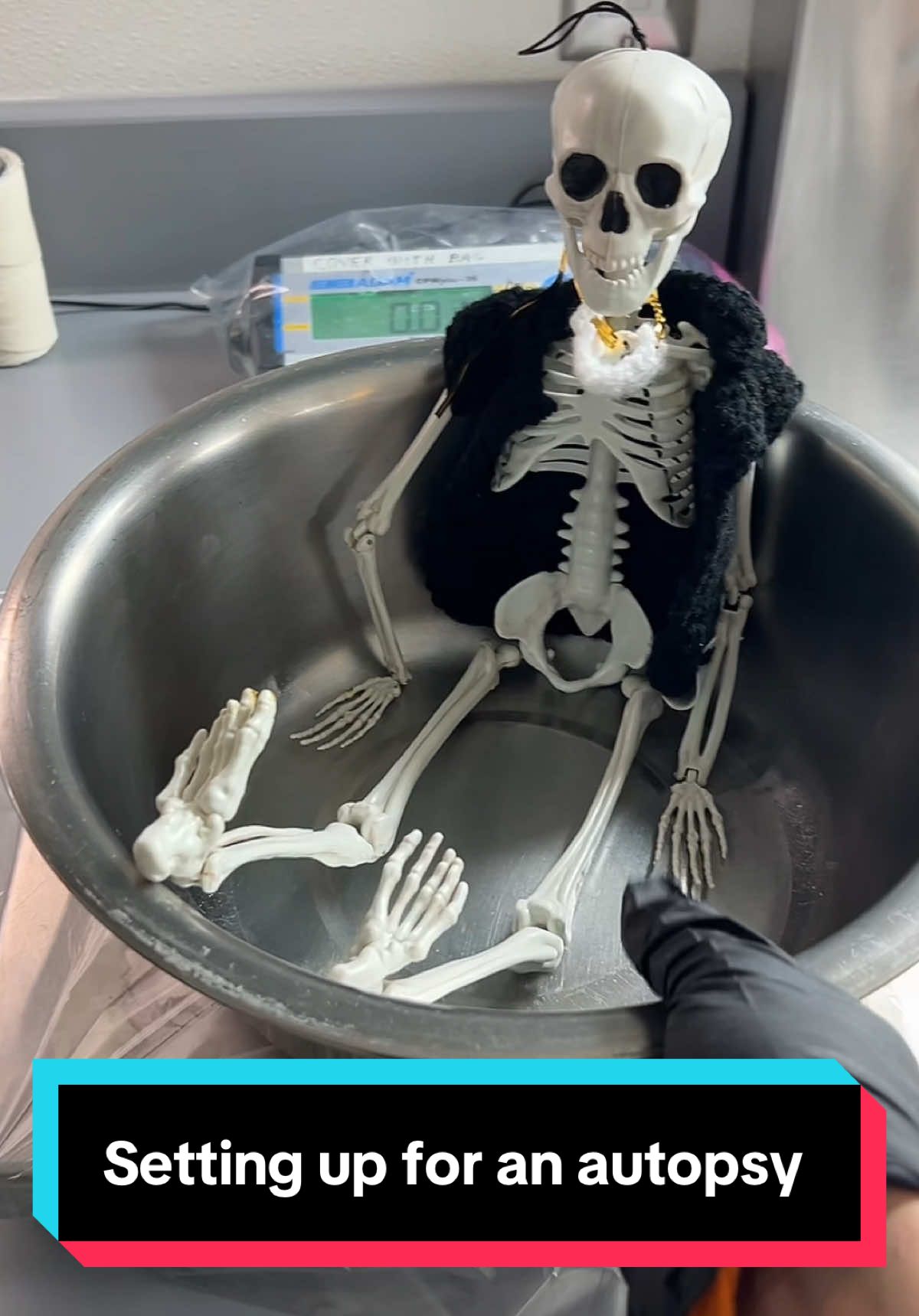 A post by @mortuivivosdocent127 on TikTok caption: “Honor the dead as they pass through here, for it is here that they make their final contribution to humanity” ##autopsy##autopsytech##paramedic##autopsytok##foryoupage##fyp##LearnOnTikTok