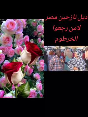 A post by @yasserhamed013 on TikTok caption: ‏#دويتو مع @وجدان هود الراوي #جيشا 