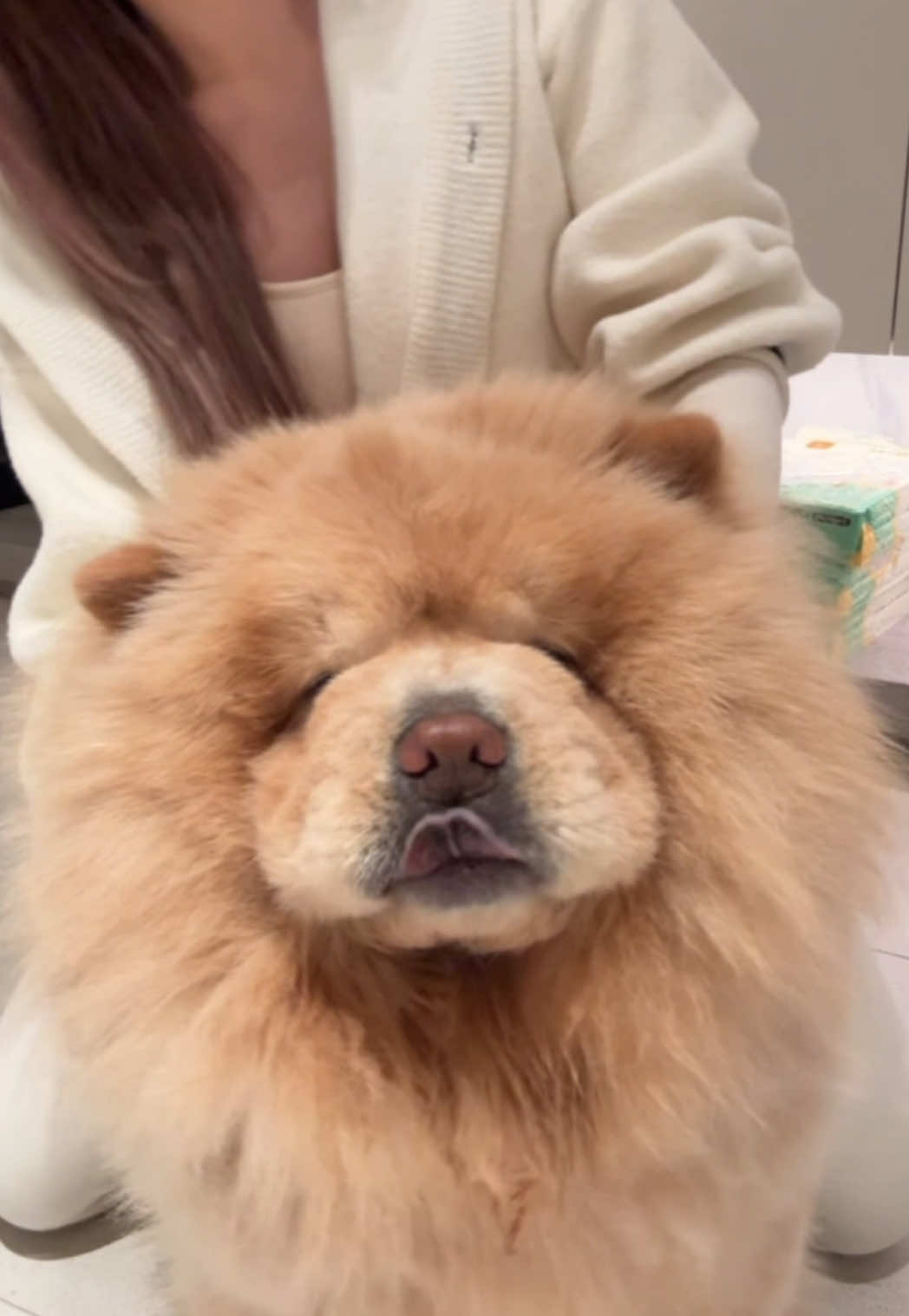 A post by @han716__ on TikTok caption: 前面那個1-5真的太為難我這個媽媽了。