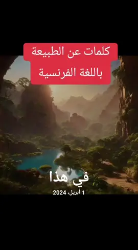 A post by @frenchsavvy0 on TikTok caption: #في هذا اليوم