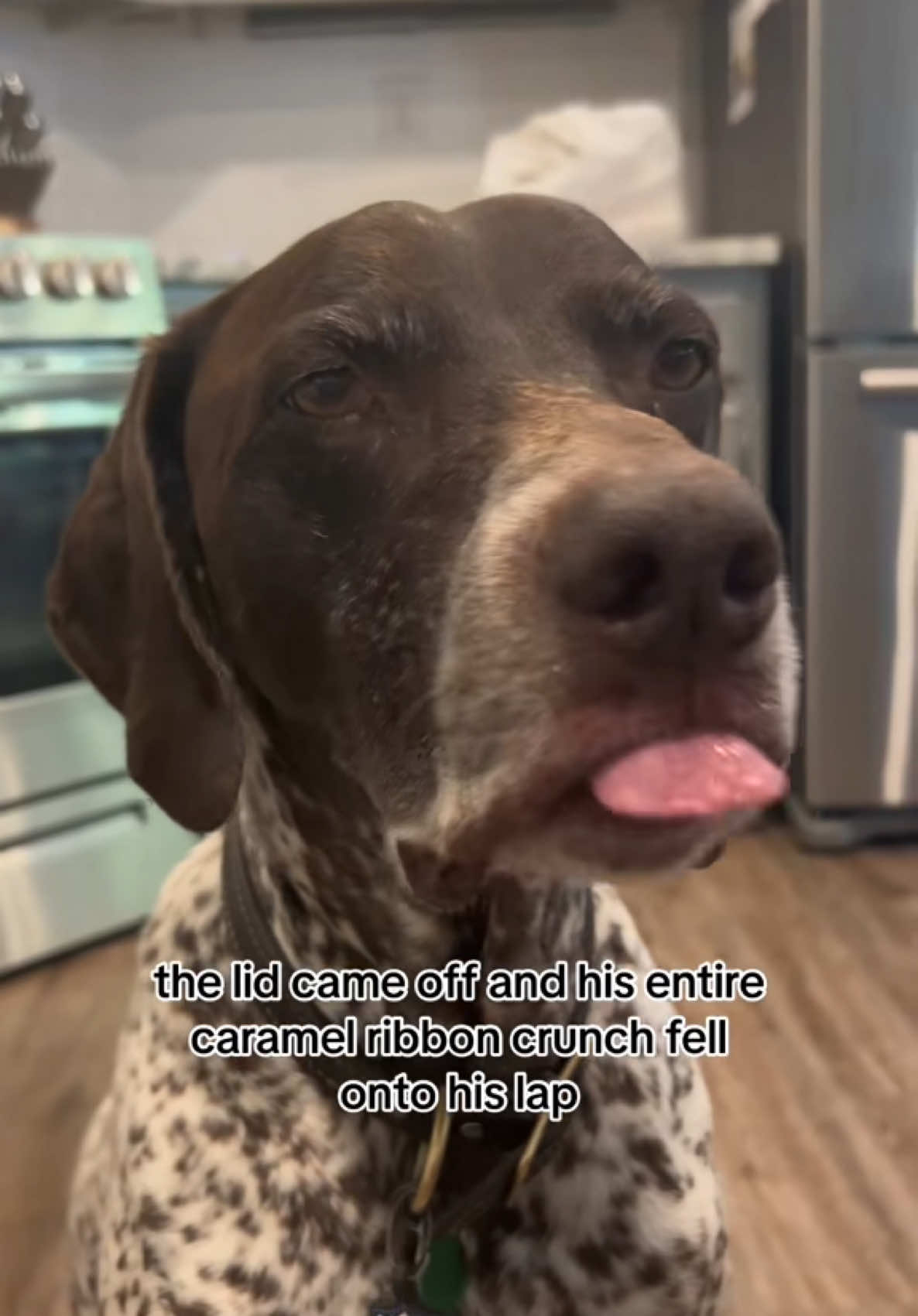 A post by @wyattthegsp on TikTok caption: You can’t make this up😭 #wyattthegsp #foryoupage #fyp 