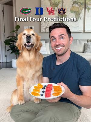 A post by @elliegoldenlife on TikTok caption: Foolproof Final Four predictions 🏀