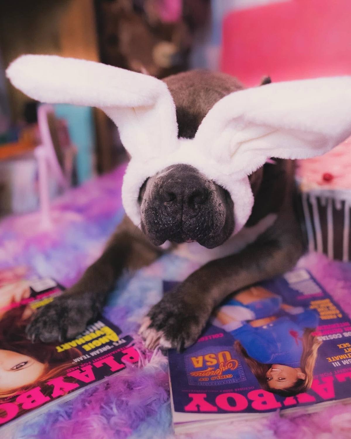 A post by @mercedes.meranda on TikTok caption: #2000s #britneyspears #y2k #early2000s #playboy 