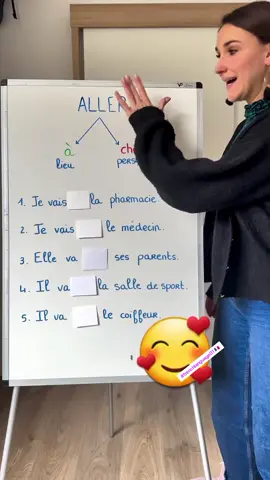 A post by @frenchlanguage01 on TikTok