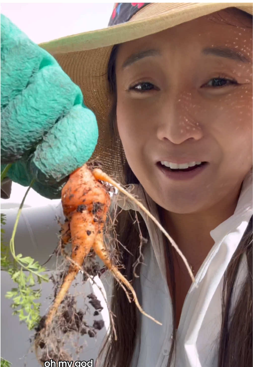 A post by @ashleyparklady on TikTok caption: my #carrots went a bit too far with #aprilfools … help me #gardentok 🆘 