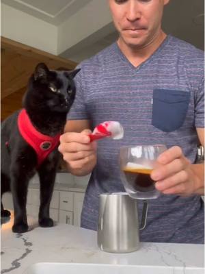 A post by @backpackingkitty on TikTok caption: Coffee for two☕️🐈‍⬛ #coffeetiktok #catuchino 