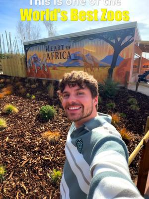 A post by @camwhitnall on TikTok caption: What a place! Heart of Africa 😍💛🦒  A lovely time checking out @Chester Zoo new area and catching up with the team. 22 acres, 57 species, and even a pangolin puppet that I fell in love with. 🦏  Conservation in action, unbelievable.👏  #chesterzoo #zoos #conservation #wildlife #tiktokforgood #chester 