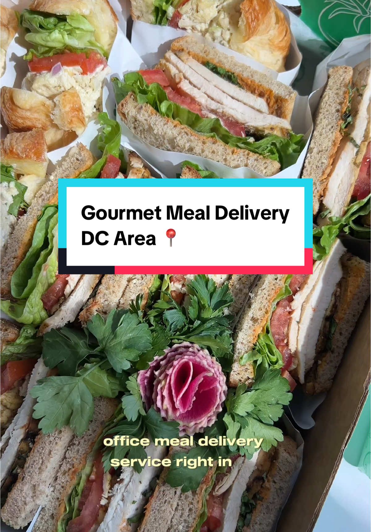 A post by @dasseats on TikTok caption: This meal delivery service is perfect for the corporate DC folks orrr the freelance creative teams! 🌱  (@dailygarnish on IG) The food is quality & actually good. They offer plenty of options to cater in the DC area! Use “DASSDG” for 15% off orders 💕  #dmvcatering #dcfood #corporatehacks #creativeagency #dmvlifestyle 