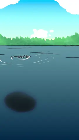 A post by @naturalhabitok on TikTok caption: Fun fact: Some species of turtles such as the painted turtle can essentially breathe through their butts underwater. The oxygen dissolved in the water is absorbed by the blood vessels in their cloacae.🐢🍑🫧 #naturalhabitatshorts #naturalhabitat #naturalhabitok 
