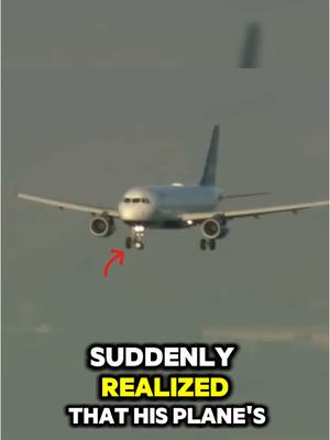 A post by @unique.planet on TikTok caption: This Pilot Faces Impossible Landing And You Won’t Believe What Happens ✈️👨‍✈️ #airplane #pilot 