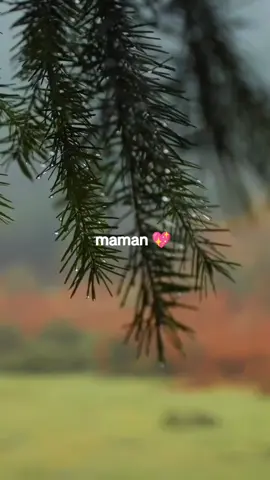A post by @diarra8490 on TikTok