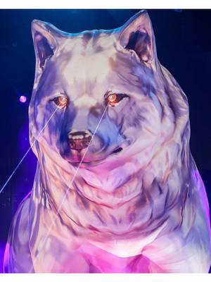 A post by @shakira on TikTok caption: Meet Isabel. The omnipresent she wolf and the archetype of bad ass women everywhere 🐺 💕 #LMYNLWorldTour 