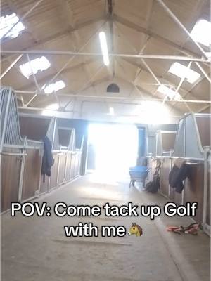 A post by @jackwhitaker19 on TikTok caption: What else would you like to see from at home? 🙂 #tackupwithme #equestrian #equine #horses #showjumping #jackwhitaker 