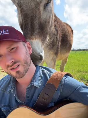 A post by @matt_mathews on TikTok caption: Stream What A War now…. Apparently Wookie is a big fan 🙄 #musician #countrymusic #wookie 