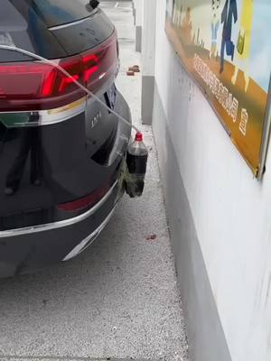 A post by @green.rabbit on TikTok caption: I need this for my car 😅 credits ? #satisfying #machines #in #action 