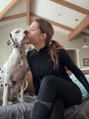 A post by @amandacerny on TikTok caption: Is it the dalmatian glitter sprinkled all over me or the sweet essence of  puppy breathe that turns people off?