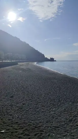 A post by @tarequechowdhury on TikTok