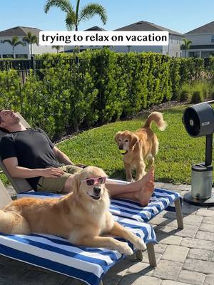 A post by @elliegoldenlife on TikTok caption: Ellie and Emma keep us busy, but at least I’m not sweating through the to-do list. #SponsoredByShark  The Shark Pro Mist keeps me cool through it all with a powerful breeze and no-hose outdoor misting that I can take anywhere. @Shark Home #SharkProMist #goldenretrieverlife #vacation #dog #summer #smile