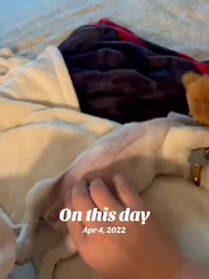 A post by @luismorangzz on TikTok caption: #onthisday 