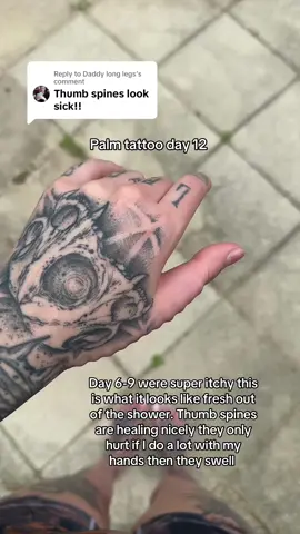 A post by @spiderwh0r666 on TikTok caption: Replying to @Daddy long legs I need to see if I can still use my bow or if I need to get a t handle. #spiderlegs 