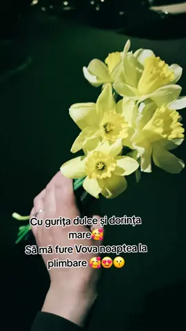 A post by @valiusha2015 on TikTok caption: #🥰🥰🥰🥰🥰🥰🥰🥰🥰🥰 #moldova🇲🇩 